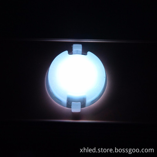 IP67 Rated Patented Wesh Screen LED Point Lights for Flexible Landscape Installation